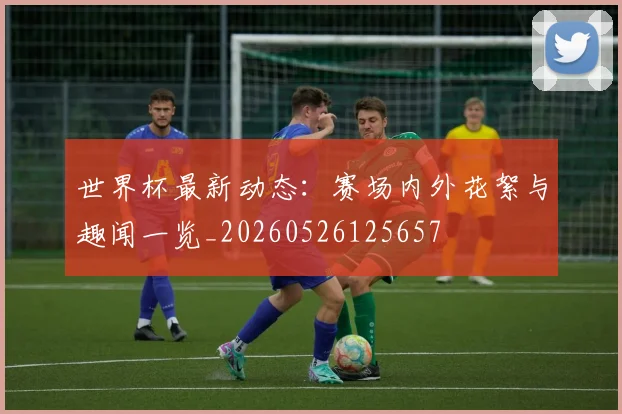 世界杯最新动态:赛场内外花絮与趣闻一览_20260526125657