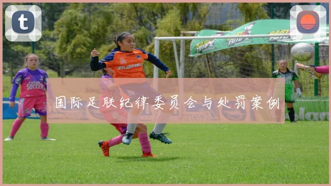 国际足联纪律委员会与处罚案例