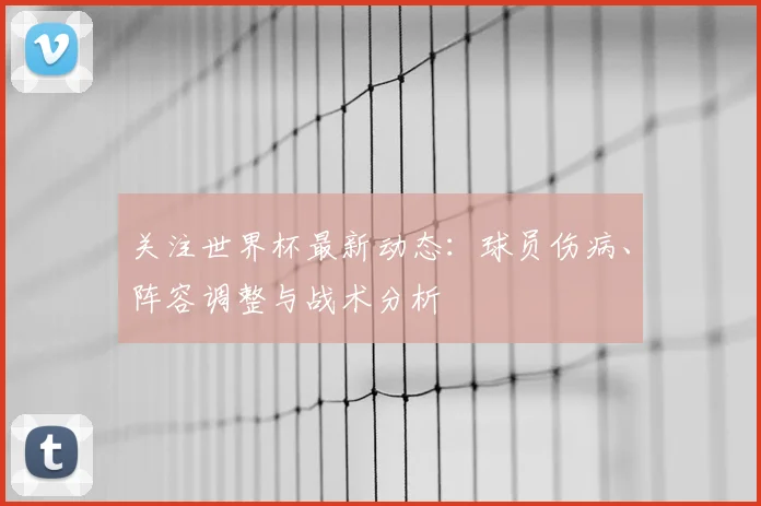 关注世界杯最新动态：球员伤病、阵容调整与战术分析