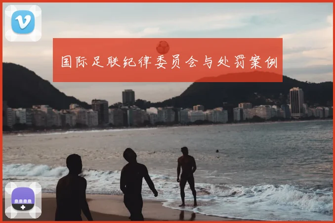 国际足联纪律委员会与处罚案例